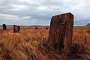 Хакасские менгиры // ИТАР-ТАСС
