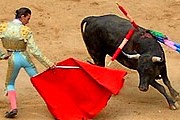 Корриду в Каталонии запретили. // doitinspain.com