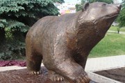 Медведь проведет туристов по улицам города. // visitperm.ru