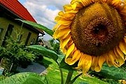 Польские усадьбы ждут туристов. // opole.pl