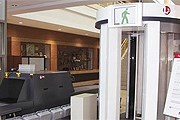 Разрешенный микроволновый сканер // Travel.ru