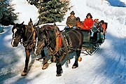 В московских парках можно будет покататься на лошадях. // mag-tours.ru