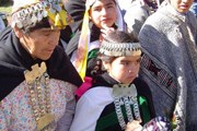 Численность мапуче в Чили - около 1,3 миллиона человек. // current.com