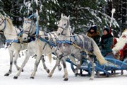 Дед Мороз ждет гостей. // dedmorozz.ru