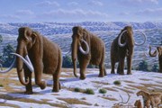 Когда-то здесь жили мамонты. // Wikipedia
