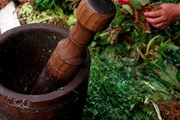 Терере - национальный напиток Парагвая. // paraguayguaranies.com