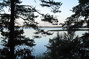 Гороховое озеро в Островском районе // panoramio.com