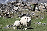 Природа и история Гренландии интересны туристам. // greenland.com