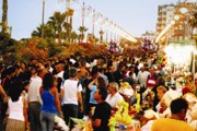 Фестиваль собирает множество гостей. // cyprusweathermap.com