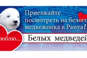 Зоопарк приглашает посмотреть на медвежонка. // ranuazoo.com