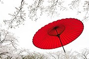 Япония предложит россиянам круглогодичный отдых. // iStockphoto / ooyoo