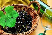 Винный туризм становится брендом Польши. // dobra-rada.pl