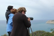 В прошлом году в мероприятии участвовало более 150 команд. // birdlifecyprus.org