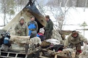 Туристы познакомятся с жизнью оленеводов. // russedina.ru