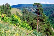 Маршрут снова открыт для туристов. // avko.clan.su