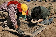 Туристы едут на раскопки. // uwlax.edu