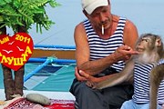 Фотографирование с животными в Алуште запрещено. // psy-city.blogspot.com