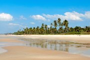 Пляжи Гоа привлекают и зимой, и летом. // istockphoto.com