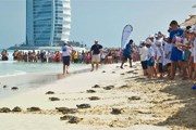 Морские черепахи возвращаются в естественную среду. // jumeirah.com/turtles