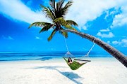Пляж покрыли белым песком, привезенным из Египта. // dholidays.net