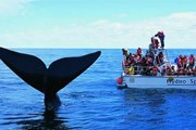 Для туристов организуются морские прогулки. // footloosetravelguides.com