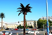 Шоколадная пальма появилась в Варшаве. // warszawa.pl