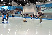 Каток в Эль-Айне будет работать круглый год. // chatru.com
