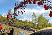 Гостей ждут захватывающие шоу. // безавто.рф