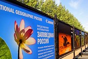На выставке представлены фотографии разных жанров. // National Geographic