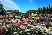 Ботаническому саду - 200 лет. // sevtaksi.com