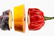 Гости смогут оценить мастерство поваров. // espaciogastronomico.com.ar
