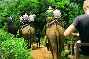 Таиланду не хватает русскоязычных гидов. // medtourismreview.com