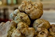 В Италии началась ярмарка трюфелей. // finedininglovers.com