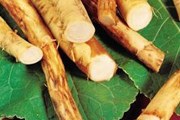 Родиной хрена стала Ярославская земля. // gardencrossings.com