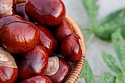 На фестивале приготовят разнообразные блюда из каштанов. // putovnica.net