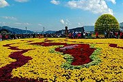 На фестивале будут представлены тысячи хризантем. // festival.changwon.go.kr