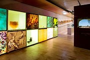 Музей познакомит с историей виноделия. // vinetur.com