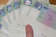 В прошлом году было выдано 22 тысячи виз. // de-portal.com
