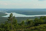 Заповедник "Пасвик" был образован в 1992 году. // inari.net