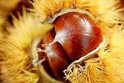 На ярмарке посетители познакомятся с местной гастрономией. // vivasanisidro.wordpress.com
