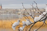 Ловиса ждет туристов. // loviisa.fi