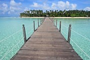 Чартерная цепочка продлится три месяца. // iStockphoto