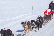 Папа Ноэль приедет на собачьей упряжке. // baqueira.es