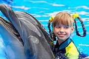 Центр дельфинотерапии привлечет туристов в Крым. // medweb.ru