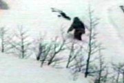 В 500 километрах от Кемерово видели настоящих йети. // paranormalparanormal.com