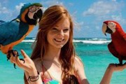 В Одессе запретили фотографироваться с животными. // mignews.com.ua