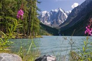 Туристам нравится нетронутая алтайская природа. // atlay-turizm.ru