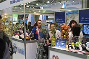 На выставке будут представлены 143 страны и региона. // itmexpo.ru