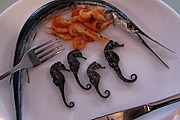 Гастрономические туры появятся в Евпатории. // forum.plesetzk.ru