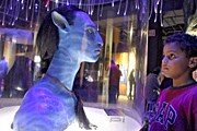 Выставка расскажет о тайнах планеты Пандора. // nytimes.com